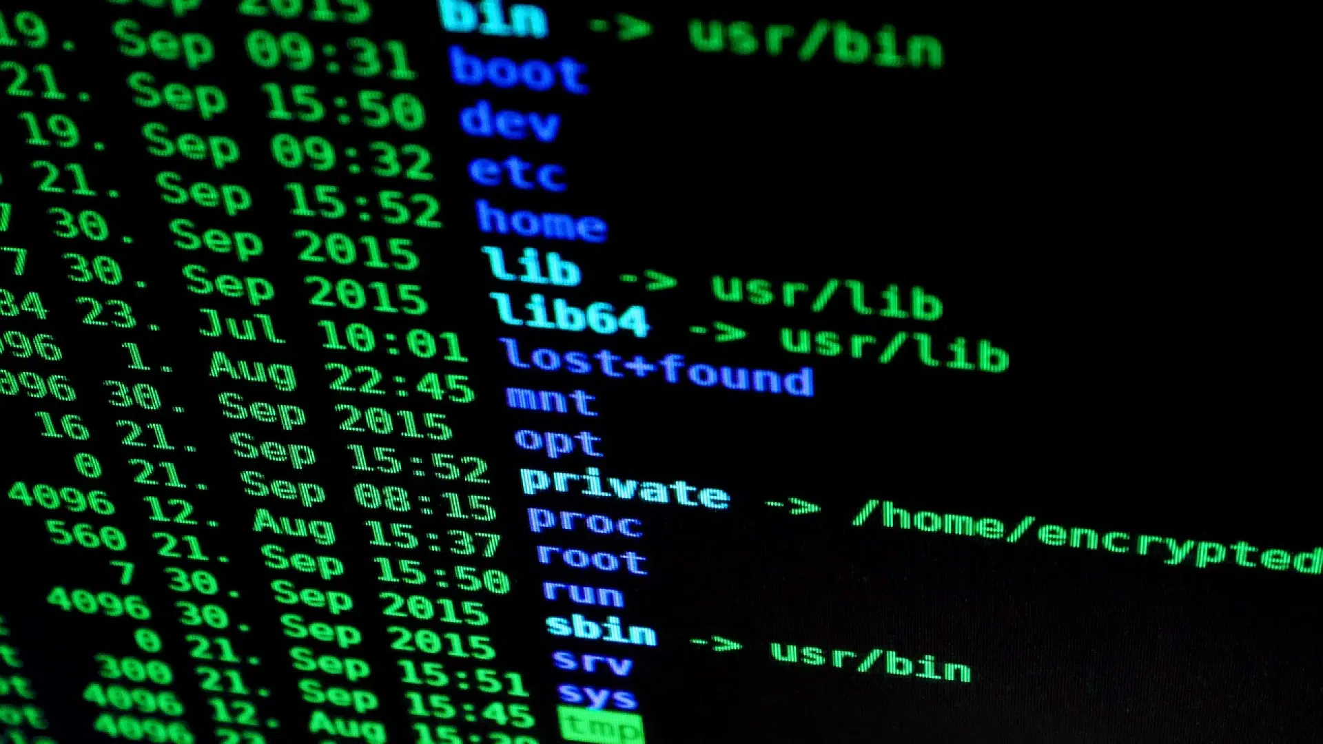Les services d'une entreprise du réseau informatique